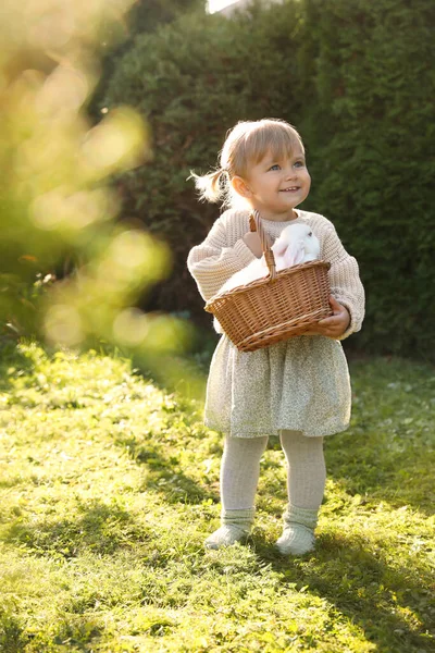 Happy Little Girl Holding Wicker Basket Cute Rabbit Outdoors Sunny — Stok fotoğraf