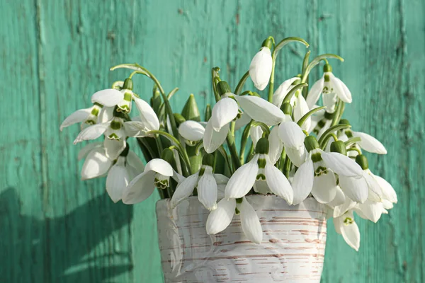 stock image Beautiful snowdrops in vase near green fence, closeup