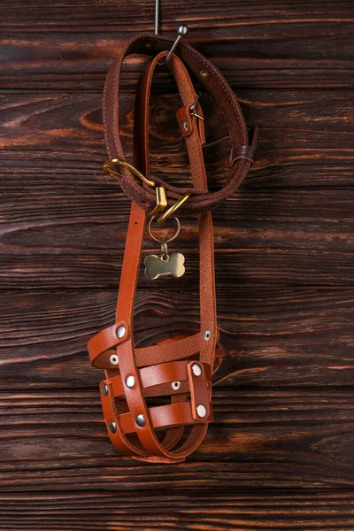 Brown leather dog muzzle and collar hanging on wooden wall