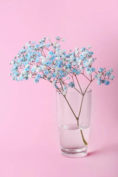 분홍색 배경에 꽃병에 아름다운 초파리 — 스톡 사진
