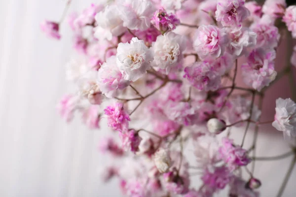 Muchas Flores Gypsophila Teñidas Hermosas Sobre Fondo Blanco Primer Plano —  Fotos de Stock