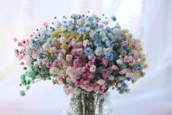 Beautiful Gypsophila Flowers Vase Blurred Background Closeup — Stock Photo, Image