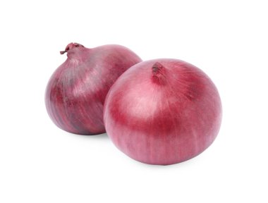 Two fresh red onions on white background
