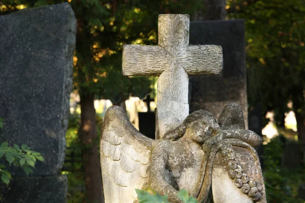 Bela Estátua Anjo Com Cruz Cemitério Símbolo Religioso — Fotografia de Stock