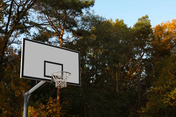 Basketball Backboard Net Trees Outdoors — Stock Photo, Image