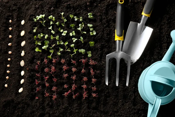 Vegetables Seeds Gardening Tools Fertile Soil Top View — Stockfoto