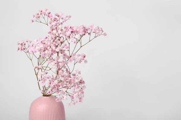 Красивые Цветы Гипсофилы Розовой Вазе Белом Фоне — стоковое фото