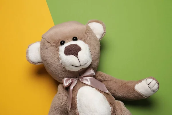 Cute Teddy Bear Color Background Top View — 스톡 사진