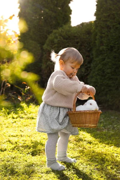 Güneşli Bir Günde Elinde Hasır Sepet Dışarıda Sevimli Bir Tavşan — Stok fotoğraf
