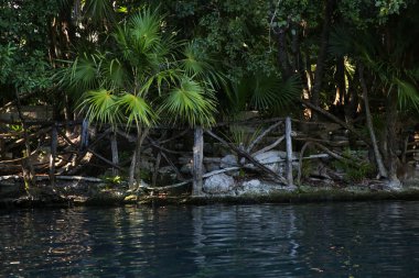 Picturesque view of beautiful lake in jungle