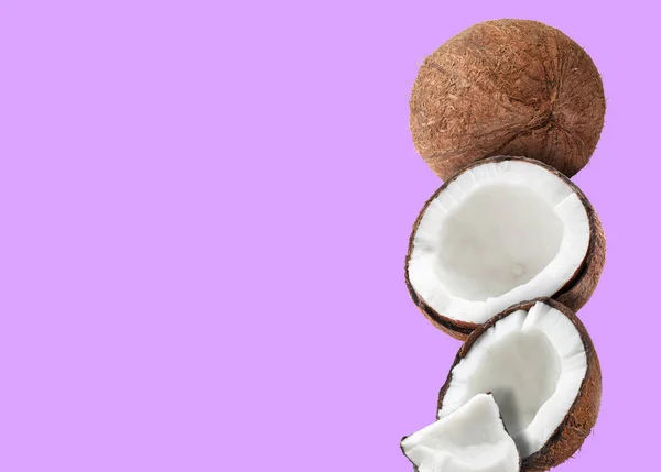 보라색 배경에는 코코넛이 원문을 — 스톡 사진