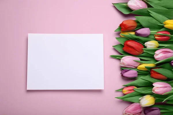 Mooie Tulpen Blanco Kaart Lichtroze Achtergrond Platte Lay — Stockfoto