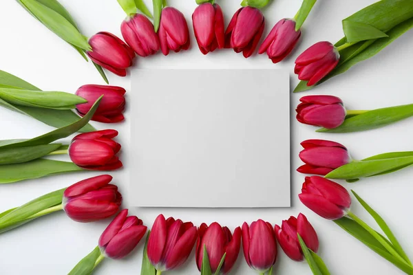 Mnoho Krásných Tulipánů Prázdné Karty Bílém Pozadí Byt Ležel — Stock fotografie
