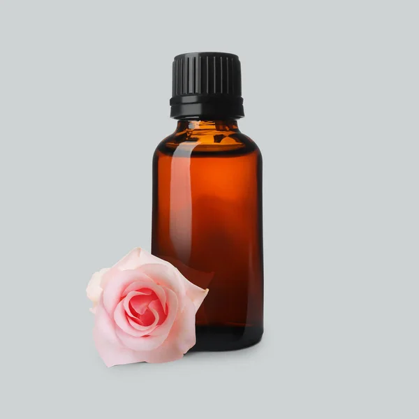 stock image Bottle of rose essential oil and flower on light grey background