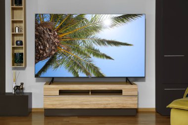 Samimi odada, ekranda doğa şovu olan TV