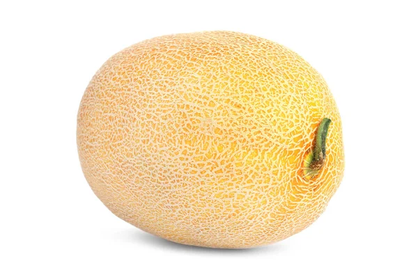 Whole Tasty Ripe Melon Isolated White — Stock Photo, Image