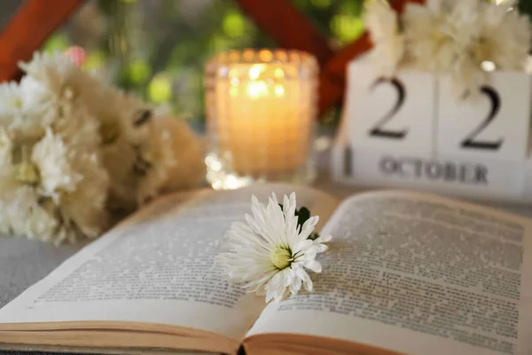 Beautiful white chrysanthemum flowers and open book on table