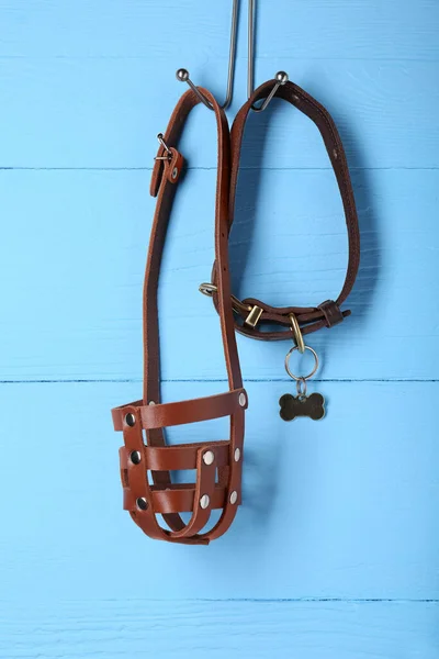 Brown leather dog muzzle and collar hanging on light blue wooden wall