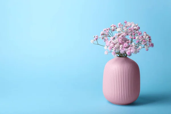 Beautiful dyed gypsophila flowers in pink vase on light blue background. Space for text