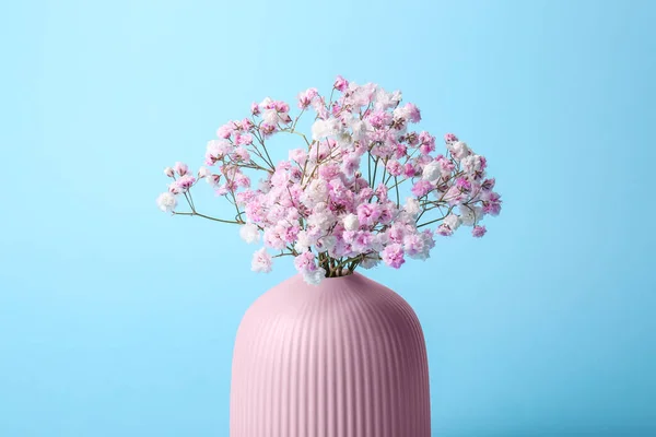 Beautiful dyed gypsophila flowers in pink vase on light blue background
