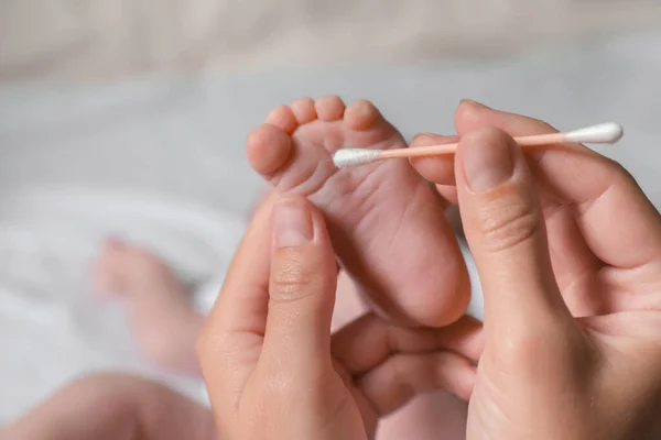 母親のクリーニング赤ちゃんの足で綿の芽を背景に クローズアップ — ストック写真