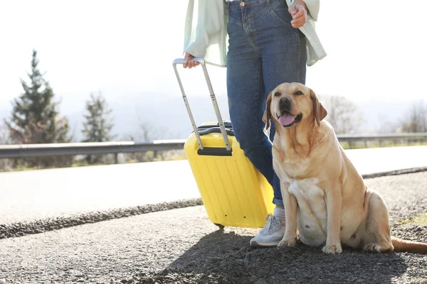 Mujer Con Maleta Amarilla Perro Adorable Cerca Carretera Aire Libre —  Fotos de Stock