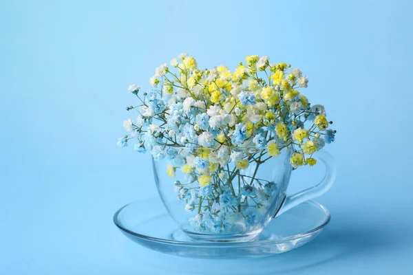 Hermosas Flores Gypsophila Teñidas Copa Vidrio Sobre Fondo Azul Claro — Foto de Stock