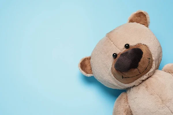 Cute Teddy Bear Light Blue Background Top View Space Text — Stock Photo, Image