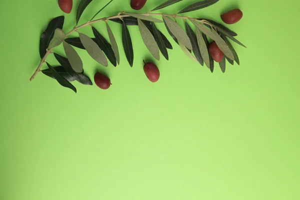 新鲜的橄榄和叶子在浅绿色的背景上 平坦地躺着 案文的篇幅 — 图库照片