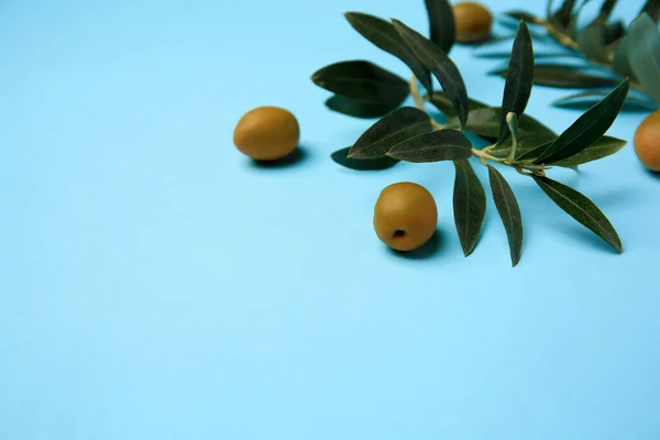 Olives Fraîches Feuilles Vertes Sur Fond Bleu Clair Gros Plan — Photo
