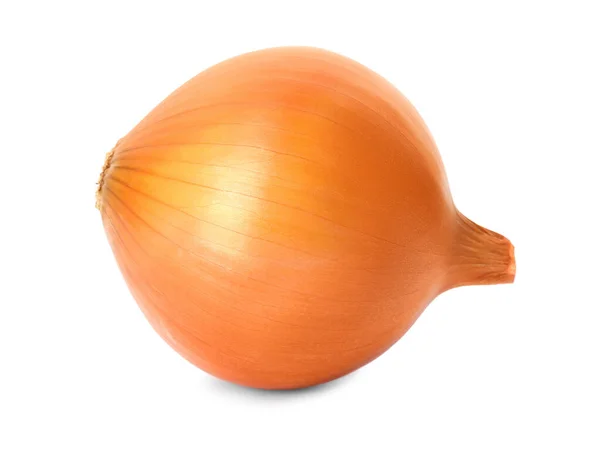 One Fresh Unpeeled Onion Isolated White — Stock Photo, Image