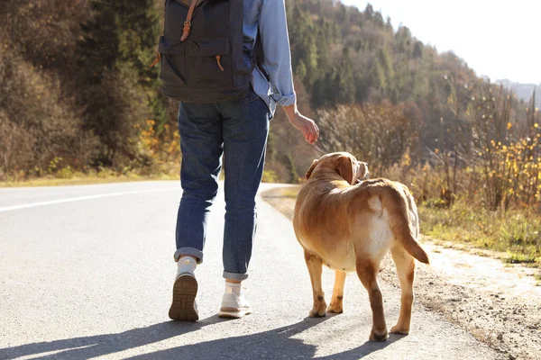 Donna Adorabile Cane Che Cammina Lungo Strada Vista Posteriore Viaggiare — Foto Stock