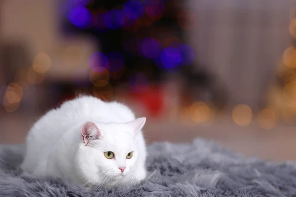 Christmas Atmosphere Cute Cat Lying Fur Rug Blurred Lights Space — Stockfoto
