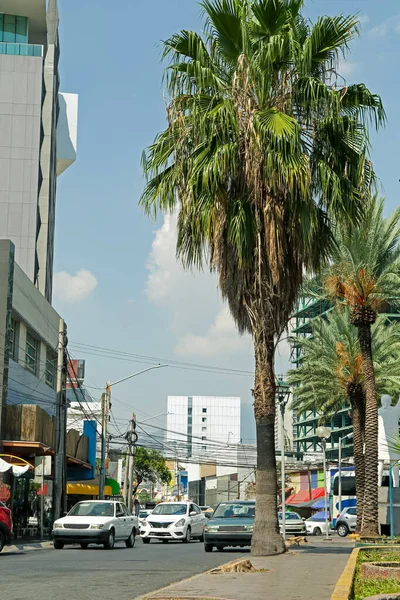 Размытый Вид Городскую Улицу Современными Зданиями Пальмами — стоковое фото