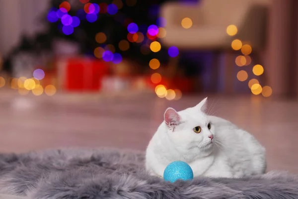 Christmas Atmosphere Adorable Cat Bauble Resting Rug Blurred Lights Space — 스톡 사진