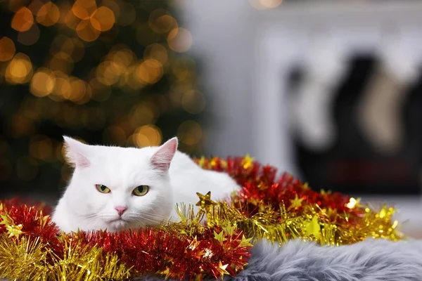 Cute Cat Christmas Tinsel Lying Fur Rug Cosy Room Space — Stockfoto