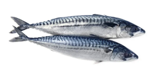 Dvě Chutné Syrové Makrely Izolované Bílém — Stock fotografie