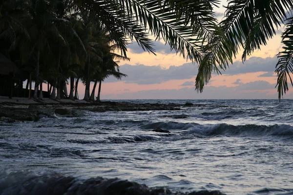 Beautiful sunset on ocean. Tropical beach with palm trees