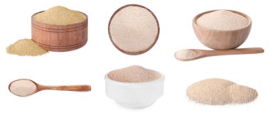 Beyaz arka planda kuru mayalı kolaj. Ayrılma ajansı