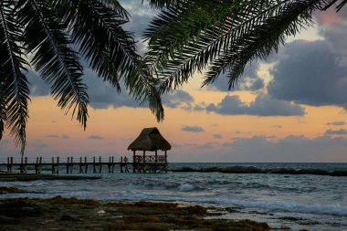 Okyanus kıyısı, palmiye ağaçları ve gün batımında iskele.