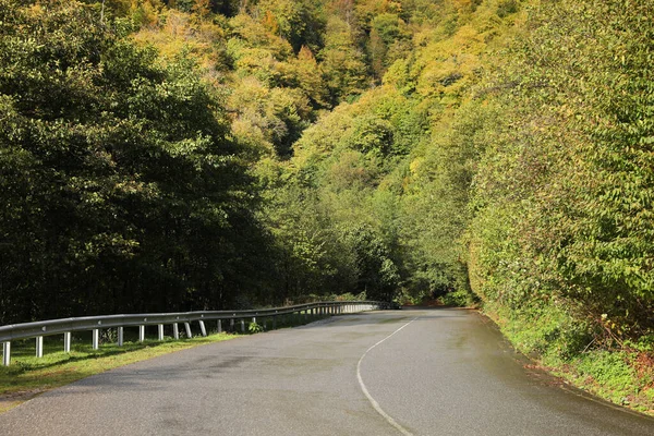 Picturesque View Empty Road Trees Mountains — Fotografia de Stock