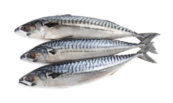 Drie Smakelijke Rauwe Makreel Geïsoleerd Wit — Stockfoto