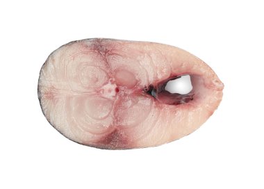 Beyaz zemin üzerinde bir parça uskumru balığı, üst görünüm