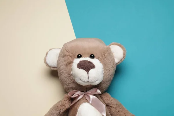 Cute teddy bear on color background, top view