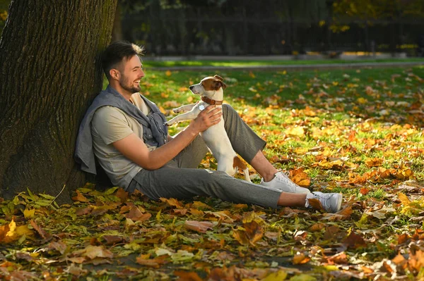 Man Adorable Jack Russell Terrier Autumn Park Space Text Dog — Stock Photo, Image