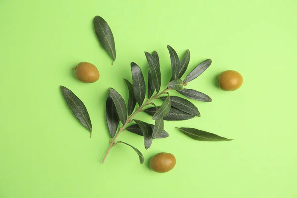 Olives Feuilles Fraîches Sur Fond Vert Clair Plat — Photo