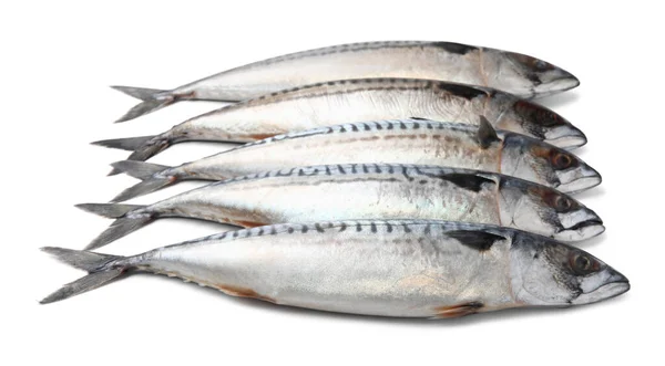 Viele Schmackhafte Rohe Makrelen Isoliert Auf Weiß — Stockfoto