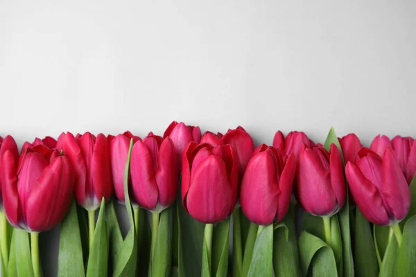 Muchos Hermosos Tulipanes Sobre Fondo Gris Claro Planas Espacio Para —  Fotos de Stock