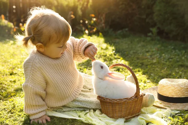 Carino Bambina Che Alimenta Adorabile Coniglio Cesto Vimini Erba Verde — Foto Stock
