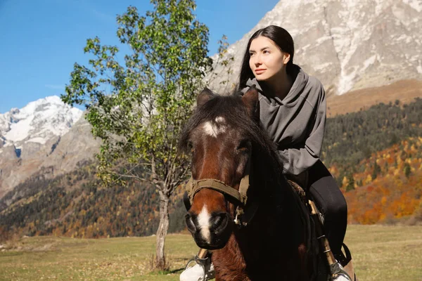 stock image Young woman riding horse in mountains on sunny day. Beautiful pet